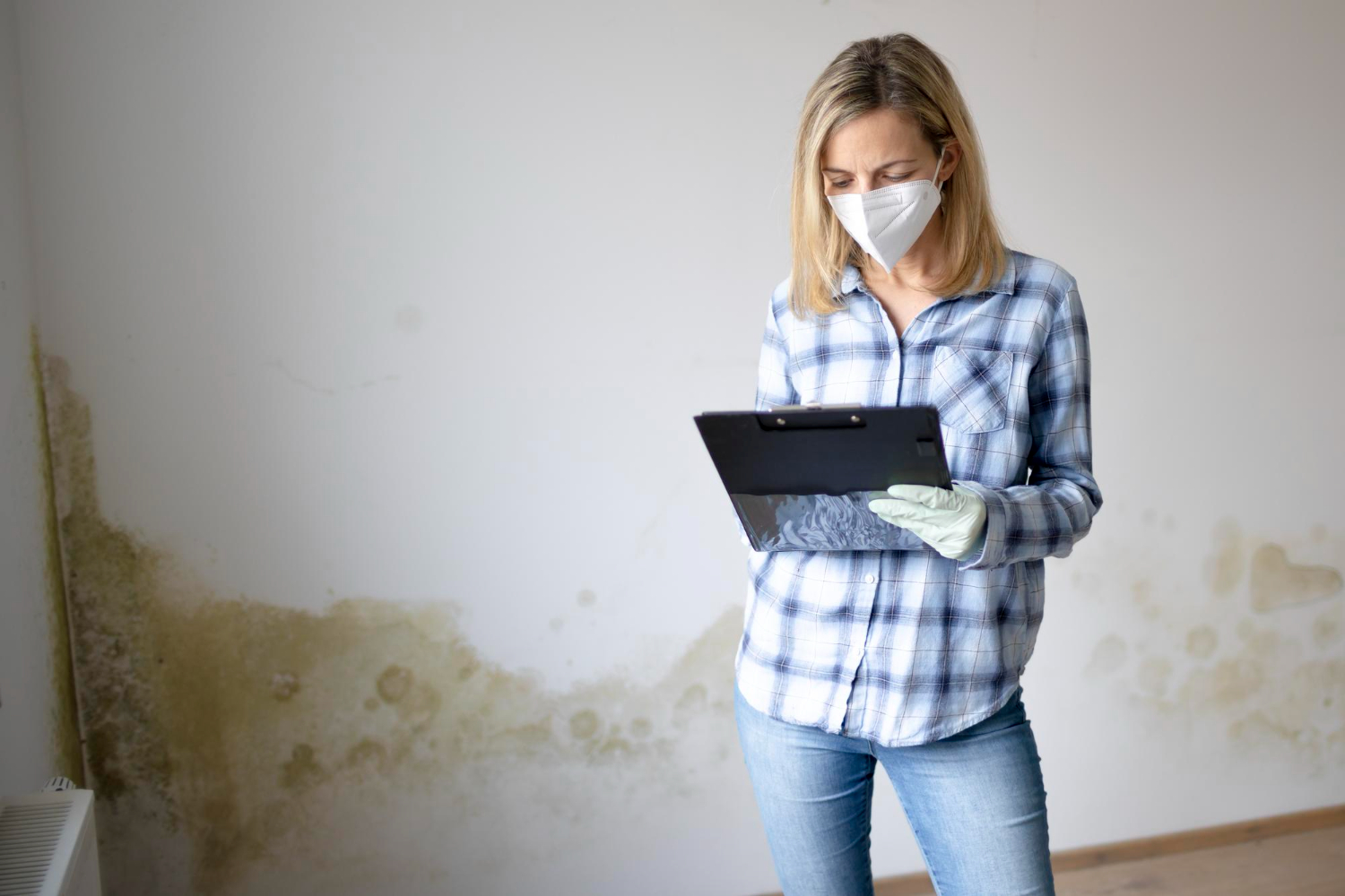 mold growth inside home Houston