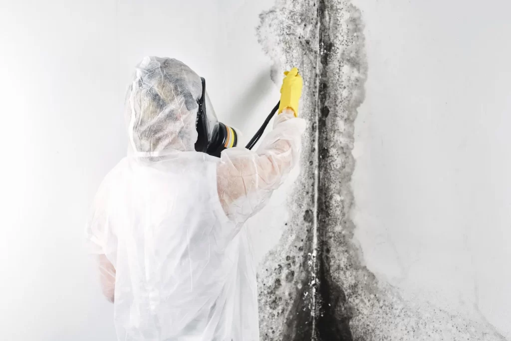 A person in protective gear cleans black mold from a white wall using a spray tool.