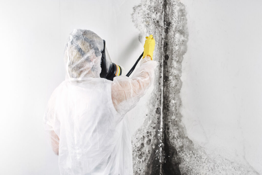 Person in protective gear cleans mold from a wall, with visible black stains and a white background.