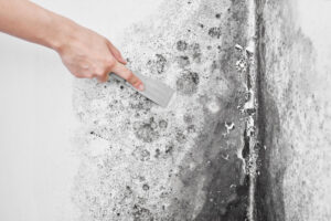 Mold