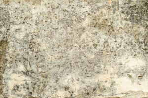 Mold