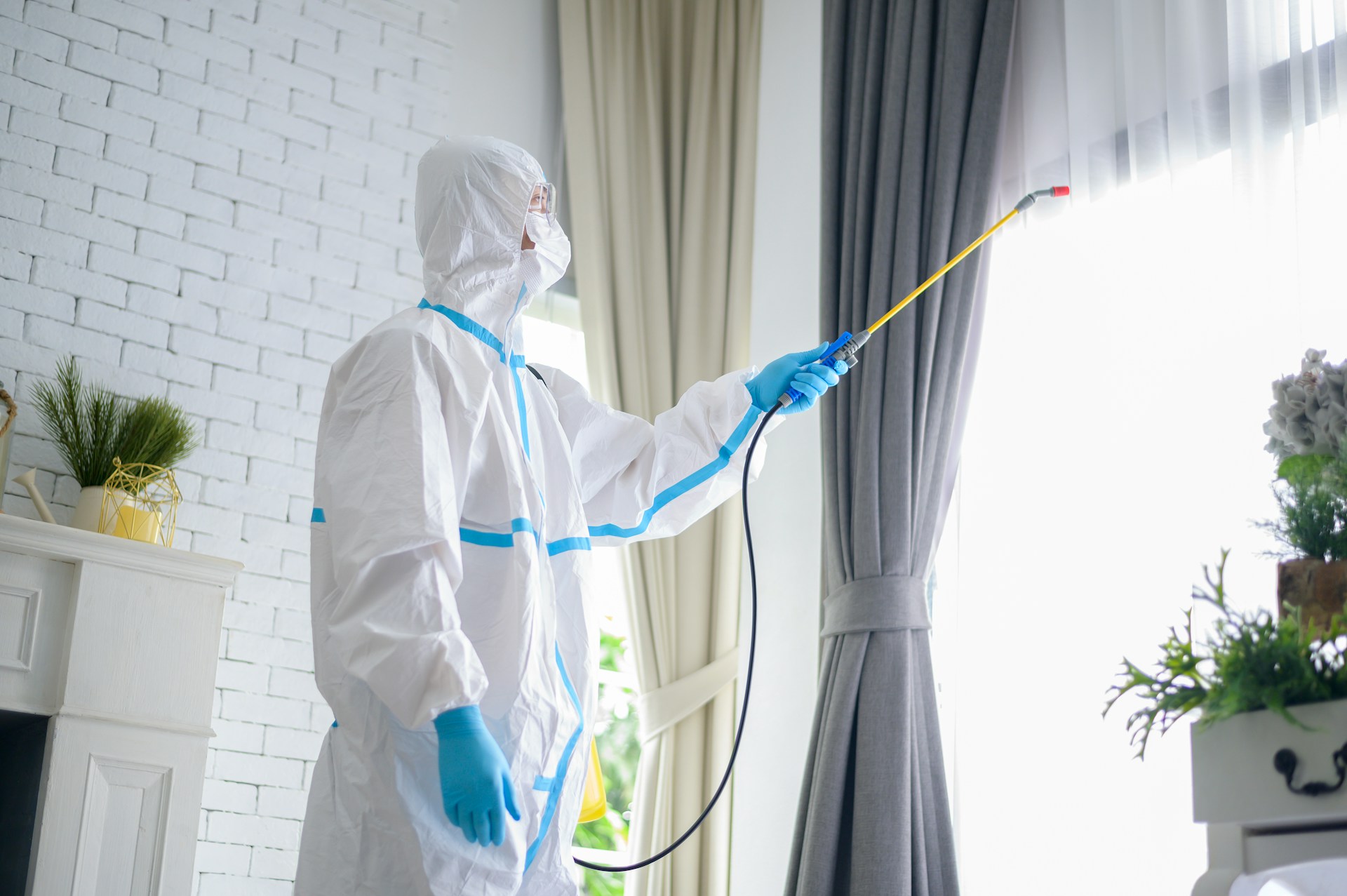 Mold Removal