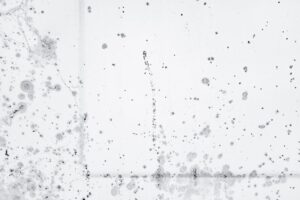 Mold Remediation