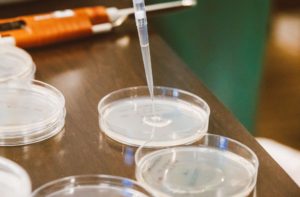 Bacteria Testing